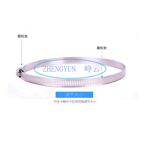 六安不鏽鋼卡箍